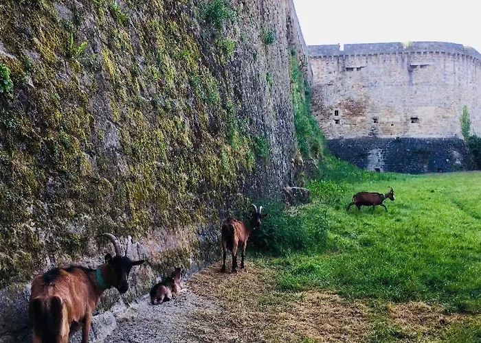 La Vue Des Remparts